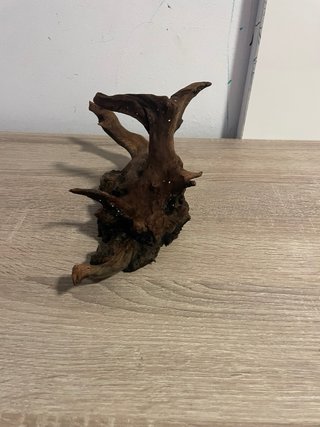 Raíz de Madera Natural para Aquascaping/Decoracion