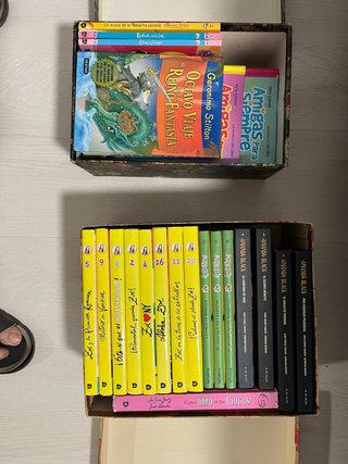 Lote de libros infantiles. Geronimo Stilton, Zoe..