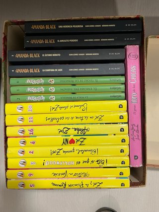 Lote de libros infantiles. Geronimo Stilton, Zoe..