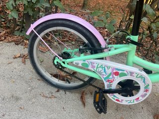 Bicicleta infantil B-PRO 16 rosa y verde