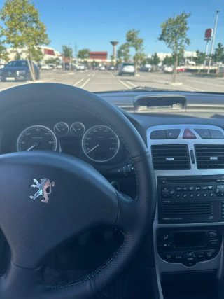 Despiece Peugeot 307 HDI