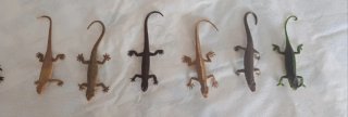 Lote 20 Figuras Ranas y Reptiles