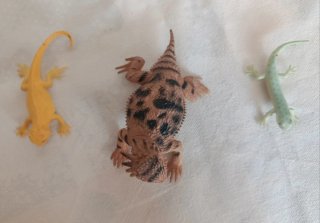 Lote 20 Figuras Ranas y Reptiles