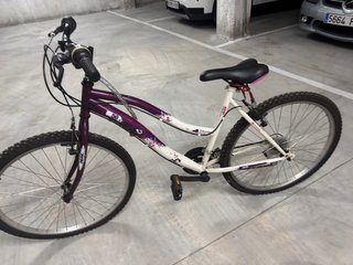 Bicicleta Morada y Blanca