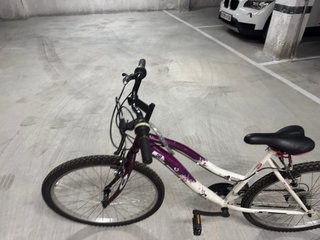 Bicicleta Morada y Blanca