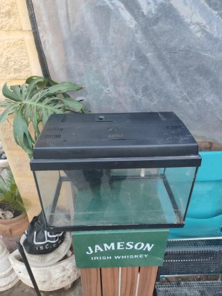 Acuario 70L con filtro, luz y calentador