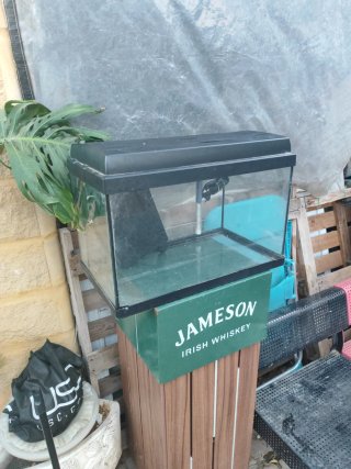 Acuario 70L con filtro, luz y calentador