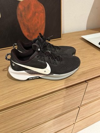 Nike Pegasus Trail 5 Negro/Blanco