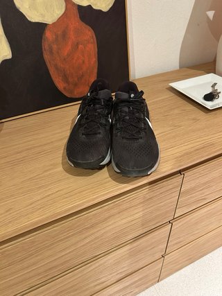 Nike Pegasus Trail 5 Negro/Blanco