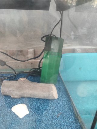 Acuario 55L con filtro, luz y calentador