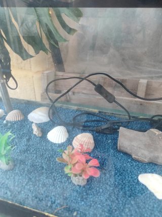 Acuario 55L con filtro, luz y calentador