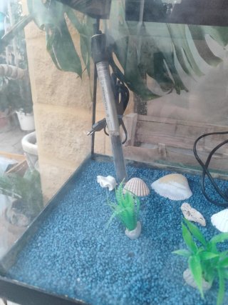 Acuario 55L con filtro, luz y calentador