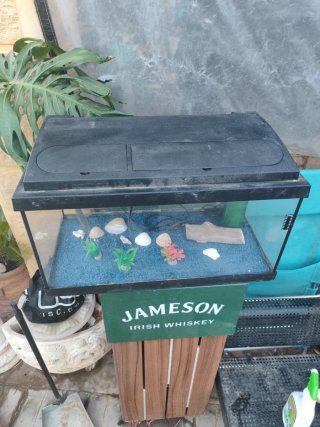 Acuario 55L con filtro, luz y calentador