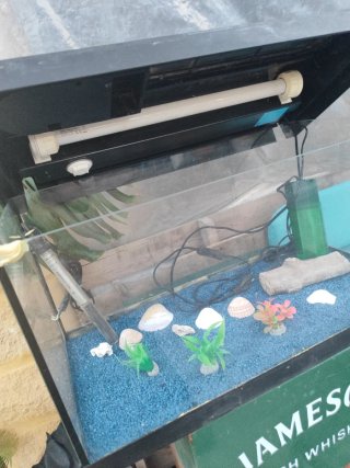 Acuario 55L con filtro, luz y calentador