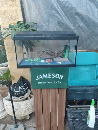 Acuario 55L con filtro, luz y calentador