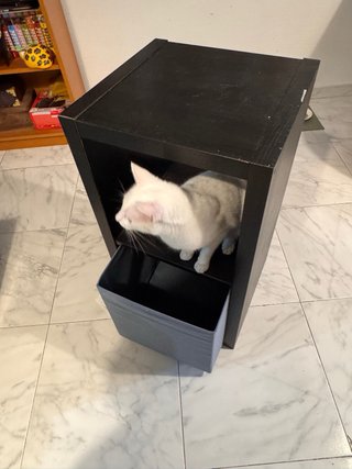 Mueble modular Ikea Kallax negro