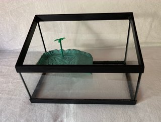 Tortuguera de vidrio con rampa y palmera
