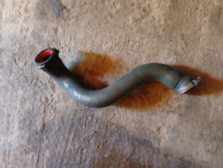 Manguito Intercooler Renault
