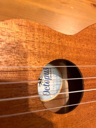 Ukelele Octopus con funda