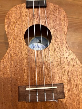Ukelele Octopus con funda