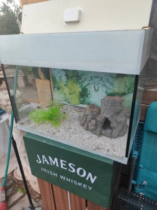 Acuario Pecera 50L con decoración