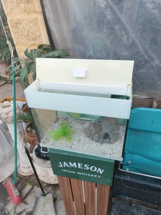 Acuario Pecera 50L con decoración