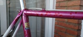 Bicicleta Marotias