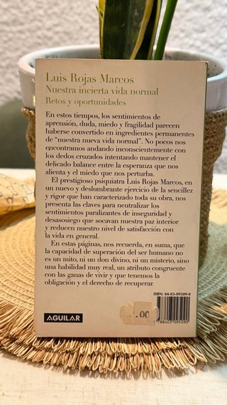 Nuestra incierta vida normal