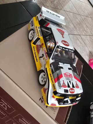 Audi S1 Quattro 1:24 Rally Slot