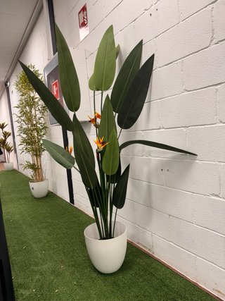 Varias Plantas Artificiales - Precio por unidad