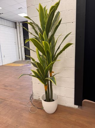 Varias Plantas Artificiales - Precio por unidad