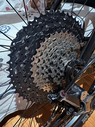 Orbea Alma H30