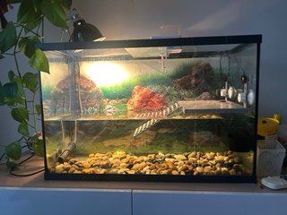 Acuario 100L 70x30x45cm Cristal