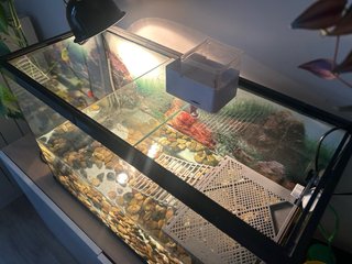 Acuario 100L 70x30x45cm Cristal