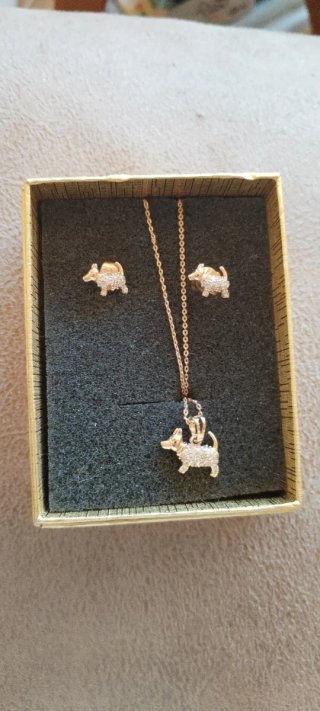Conjunto Perro Collar y Pendientes