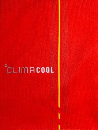 Camiseta España Ferran 7 Adidas (Dos estrellas)