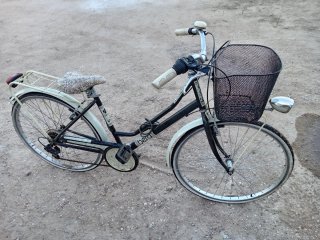 Bicicleta urbana con cesta y portabultos