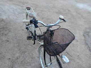 Bicicleta urbana con cesta y portabultos
