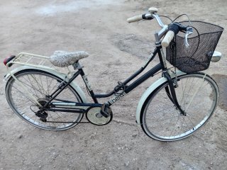 Bicicleta urbana con cesta y portabultos
