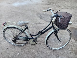 Bicicleta urbana con cesta y portabultos