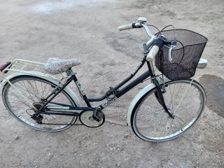 Bicicleta urbana con cesta y portabultos