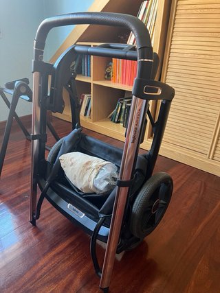 Carrito Inglesina Aptica 2025