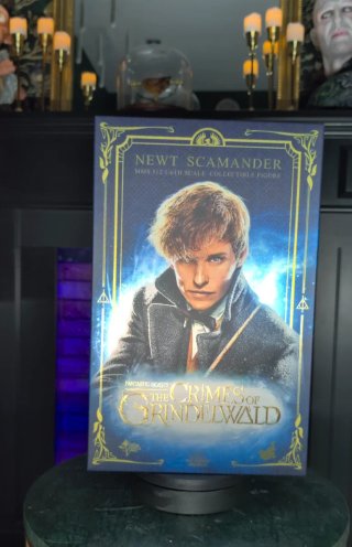 Figura Hot Toys Newt Scamander
