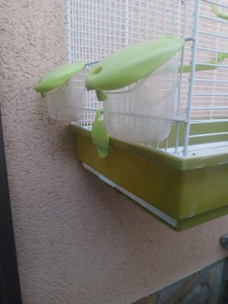 Jaula para pájaros blanca y verde