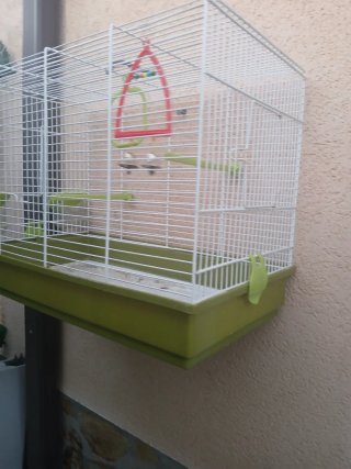 Jaula para pájaros blanca y verde