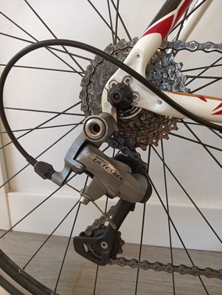 Centurion Gigadrive Carbon + Shimano Ultegra