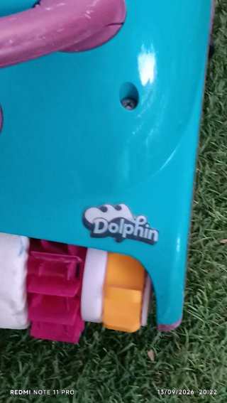 Robot Limpiafondos Dolphin Eléctrico