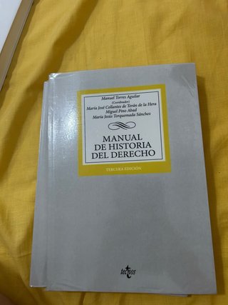 Manual de historia del derecho