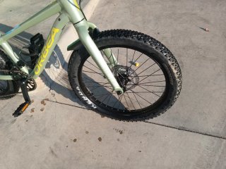 Orbea MX 20 Disc Team Bicicleta Infantil