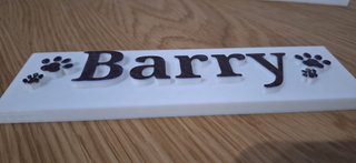 Placa personalizada 3D para mascota